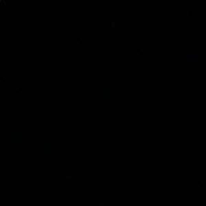 Meet your Posher, Dan